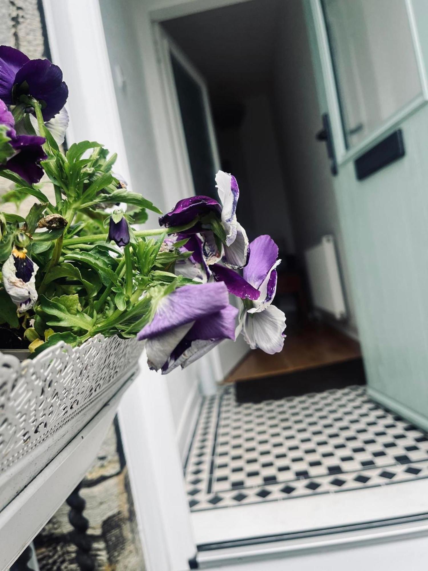 7A Seatreat Appartement Kinghorn Buitenkant foto